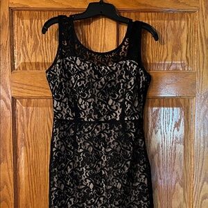 The Limited Black Lace Overlay Midi Dress